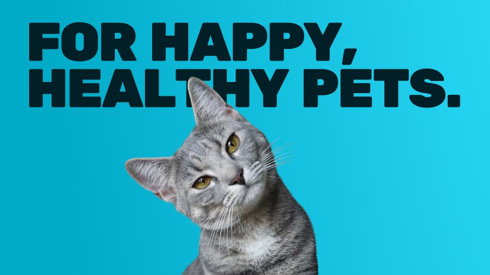 Art for Highrise Veterinary Clinic